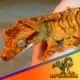 tiger crested gecko for sale