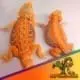 inferno bearded dragon for sale