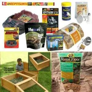 tortoise habitat for sale