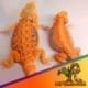 inferno bearded dragon for sale